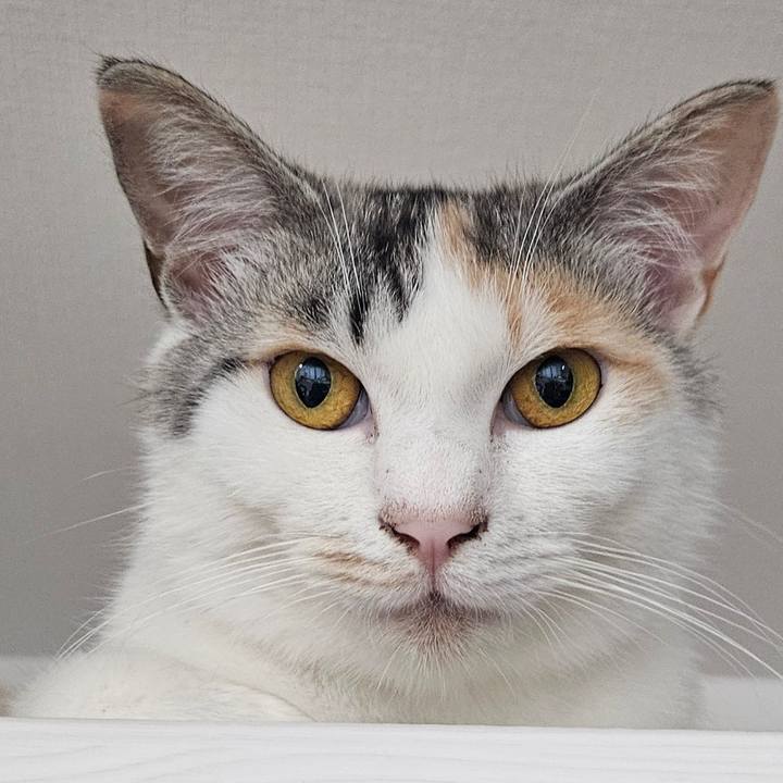 4d673d21 d1d0 4ca0 bfd3 c0e7944f8e3a 1751636582141