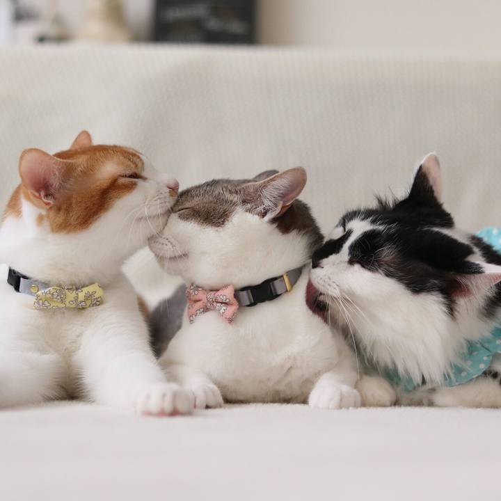 4d676bd8 fc04 48db 81d6 adc3392c9651 1530238775517