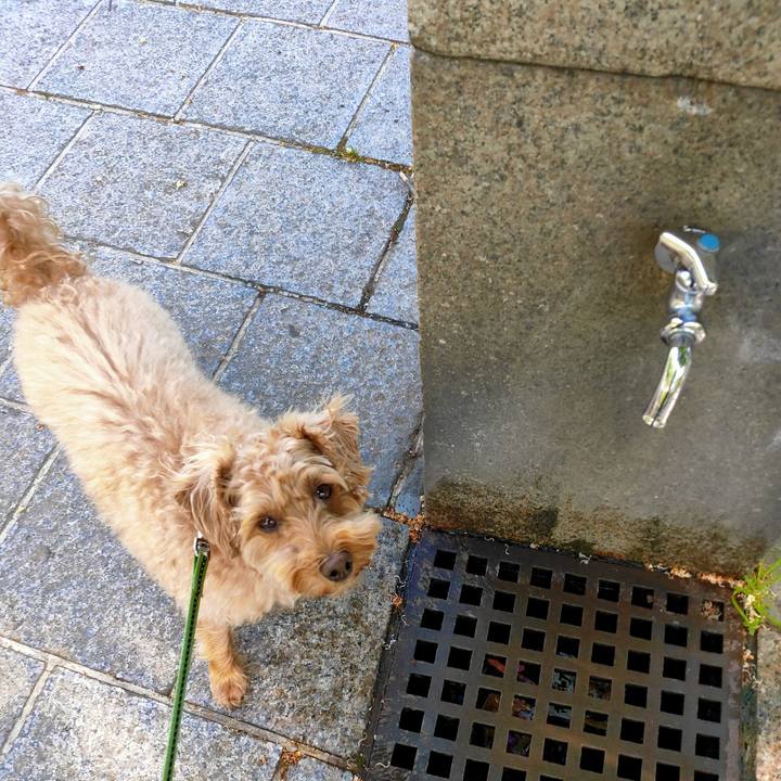 4d677037 8e0b 4c6f 9d1d 66fcee3daeac 1591053172353