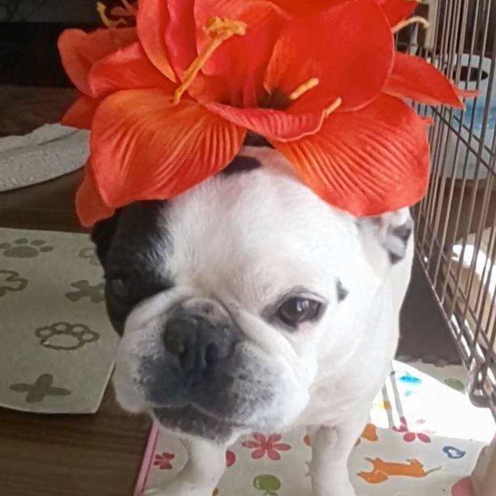 4d6788f5 af1c 442e 9916 5fd546b3320f 1667185171835