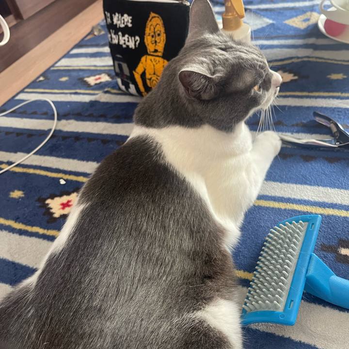 4d67a024 e146 4710 b8f1 803482bcb634 1664678902376