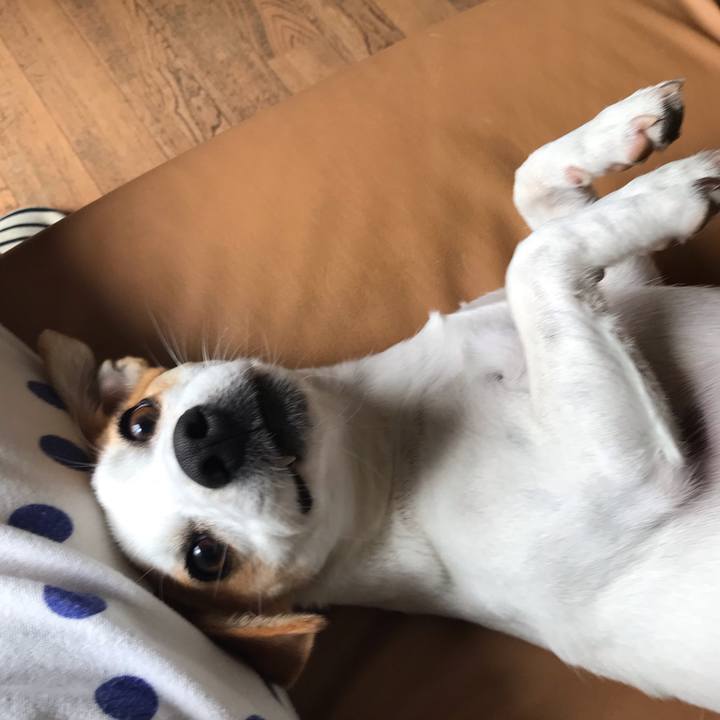 4d67a701 d586 406d a972 35e97c3b2768 1585360837303