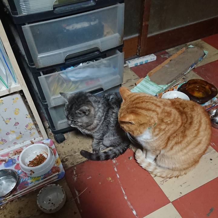 4d67e0de ef90 4551 919b df33f15d06c8 1580846465145