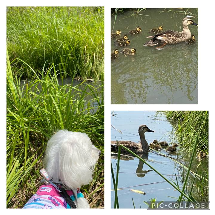 4d67f52e d794 4d28 bc2a b6db9310321a 1620127795340