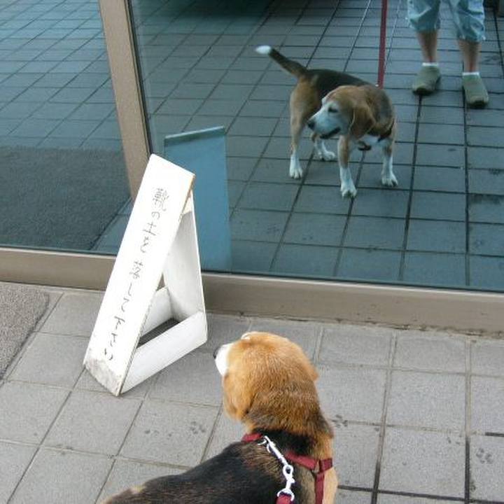 4d680861 a956 4e8f 8a3b 6917abdfea5f 1687480808491