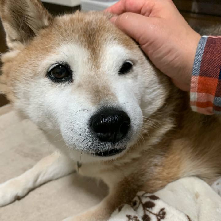 4d686319 49f9 4191 9384 59cb8e5a8ac5 1584093822894