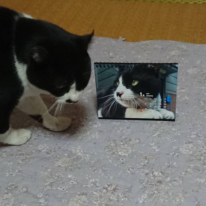 4d686fae 17a0 46dc aec2 283e22361520 1547882657385