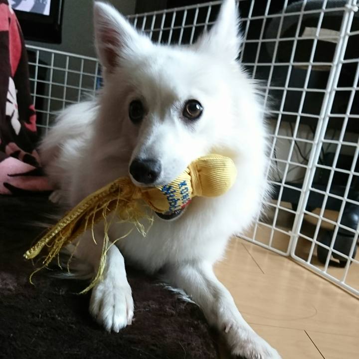 4d6887ee 80b1 43ae a94a 885478772243 1510892196382