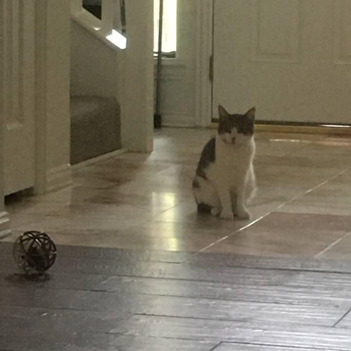 4d688f59 6f98 461c ac4e 923e1f6cdaa0 1659742535464