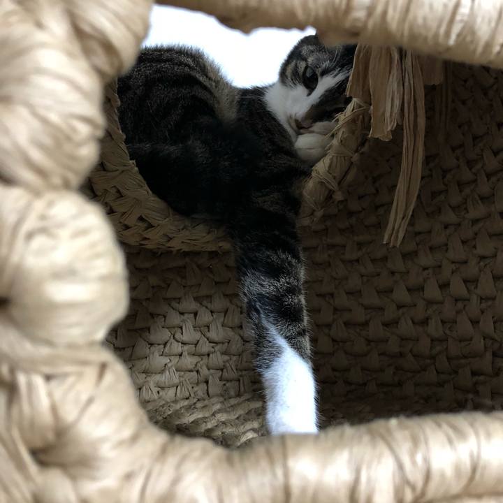 4d68ab7b e1df 4af6 99e9 5bf7d8c88ec1 1539547510148