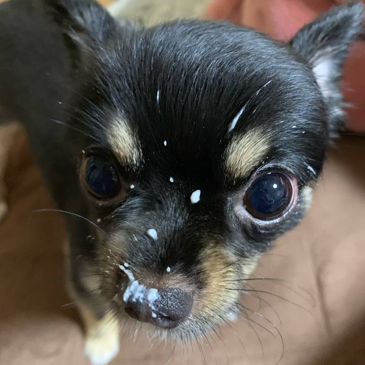 4d690e91 498e 4192 b227 947e75904f0f 1562452109462