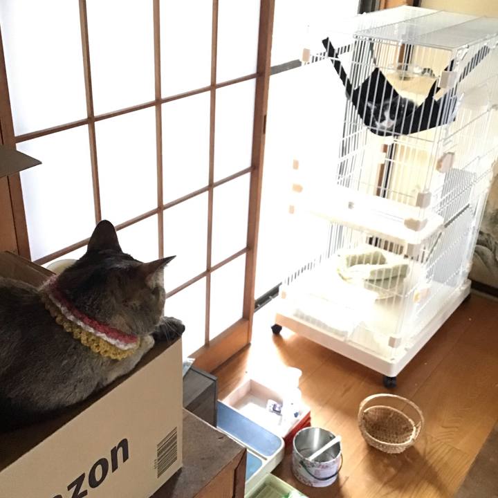 4d692d98 fb71 4af9 ab52 35ab23c48e61 1623654760433