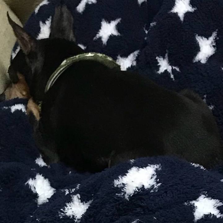 4d693c79 26fc 4d2e b3b5 32833cc9fee6 1538572118059