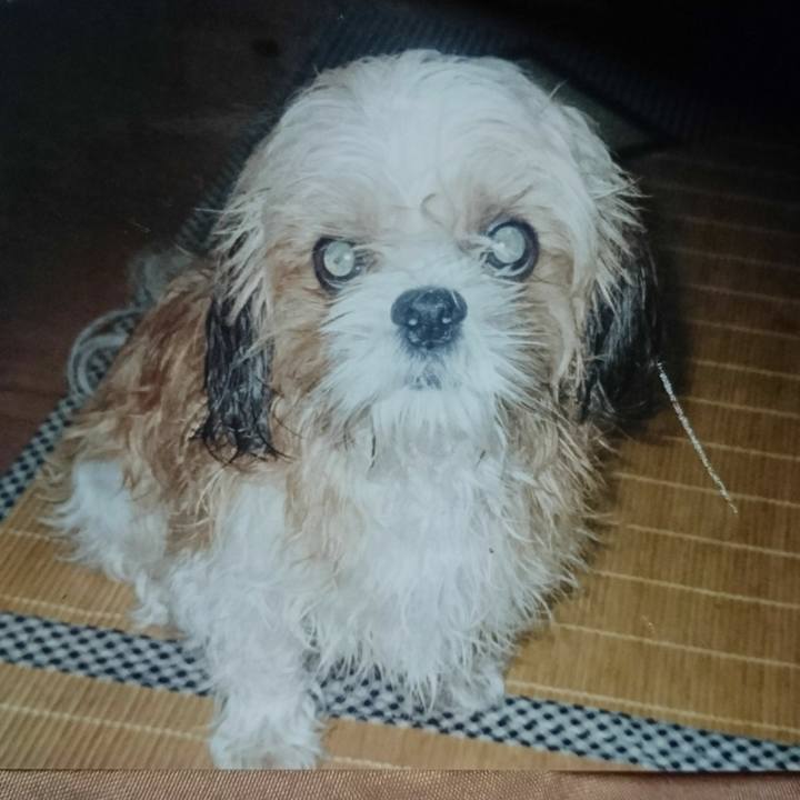 4d695d66 1723 467a 88da 053815a0df23 1533728615313