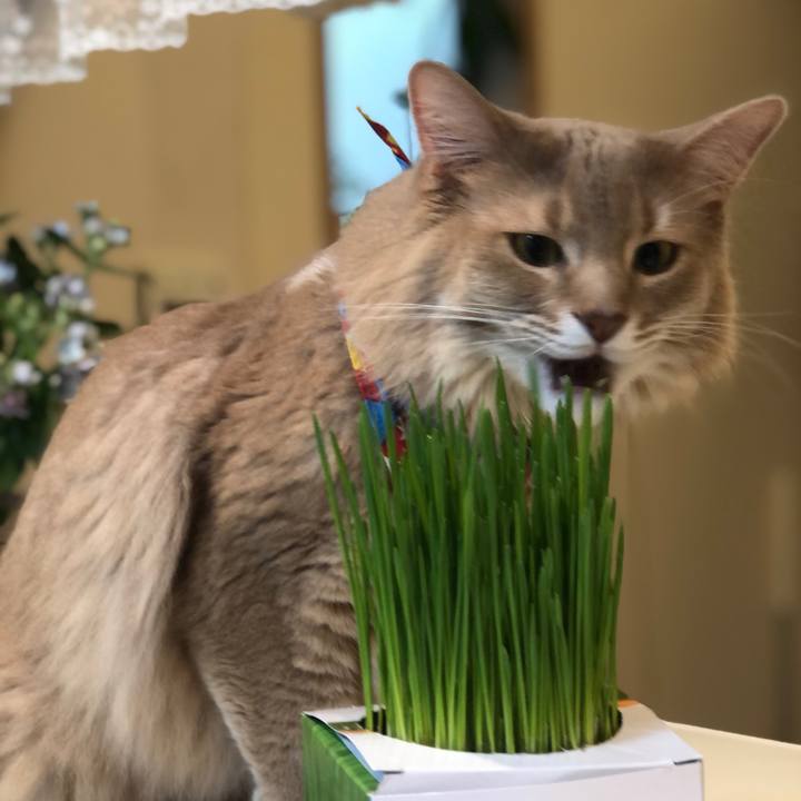 4d6970b7 7701 4b10 a4a3 6f03bbf9c384 1648780196458