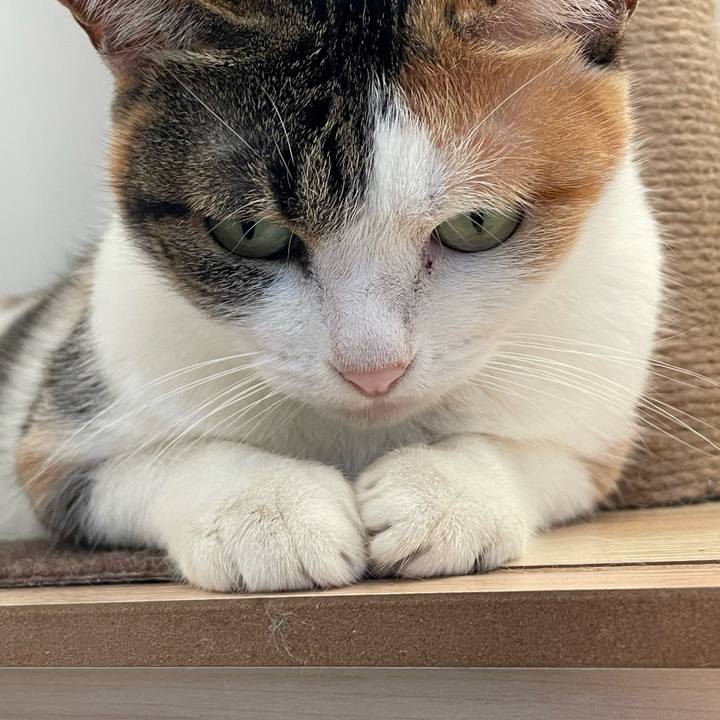 4d6996db 253c 4906 99dd b9ae6cccec02 1664687495973