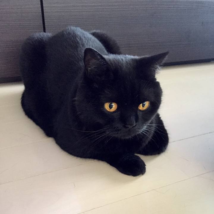 4d69c5b4 d707 43e9 abda dbc2b5643abd 1560120820442