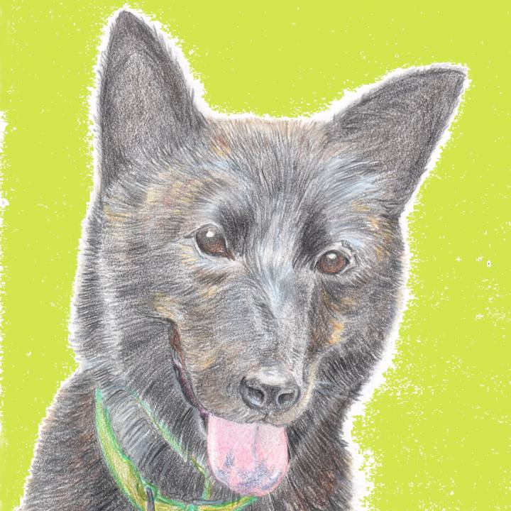 4d69f832 9ace 45d2 b2f7 279204480473 1632578488290