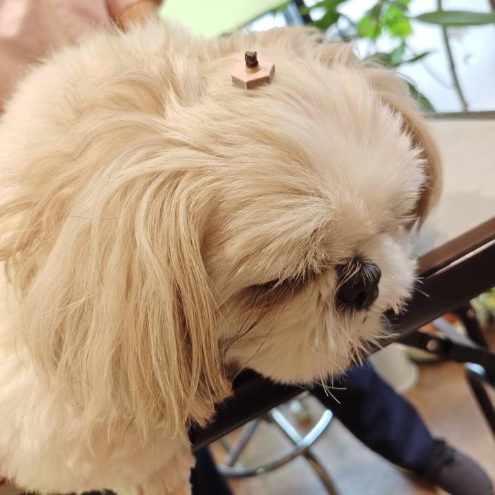 4d6a144e dd58 4952 908d 568a39ef0b87 1777178934104