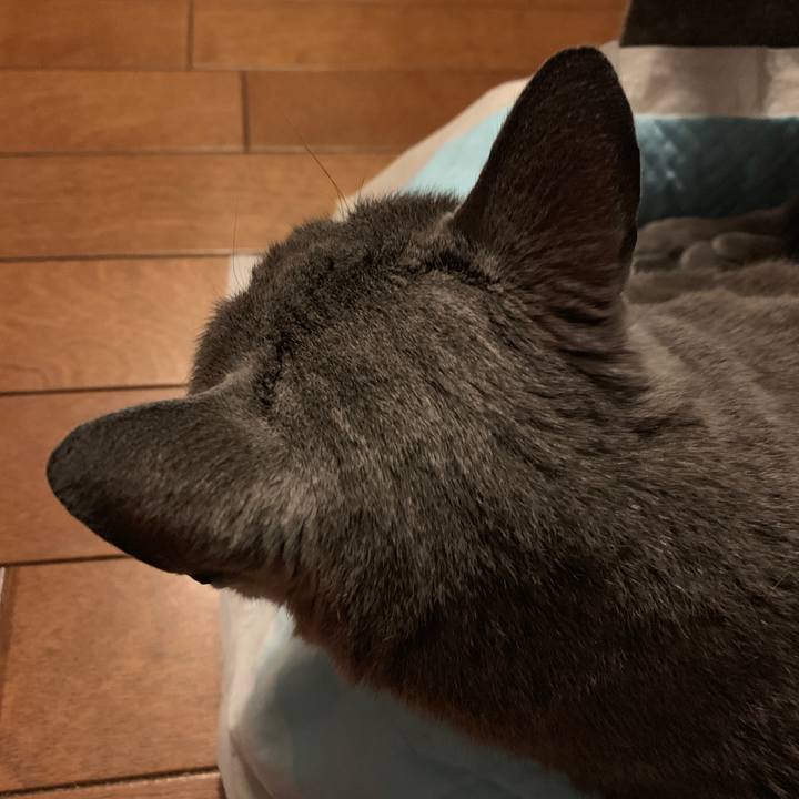 4d6a3fa7 53bf 405b 9c9e 381347715d92 1556115446026