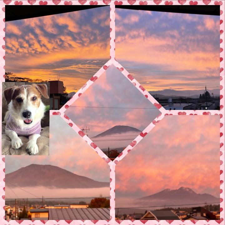 4d6a4eb9 b3b8 4afd 817f a984b0c02176 1635640157738