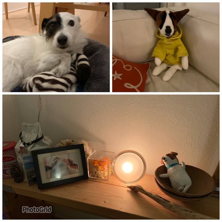 4d6a52c2 3fa6 4034 80c2 f6e6cd896393 1718282066676