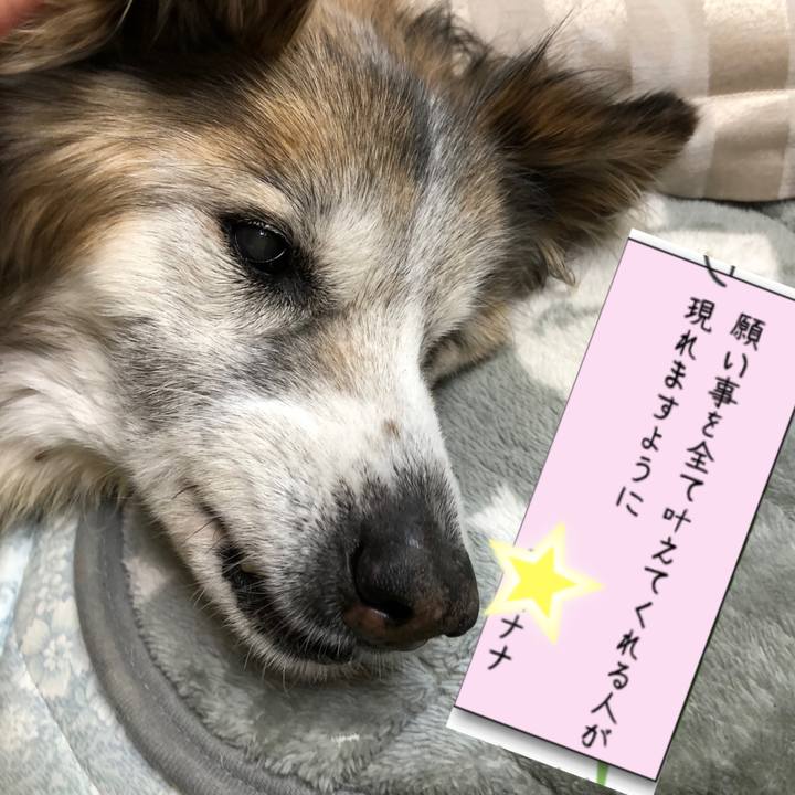 4d6a5ae6 f23c 4a2c b041 bbb9450d61db 1562568293919