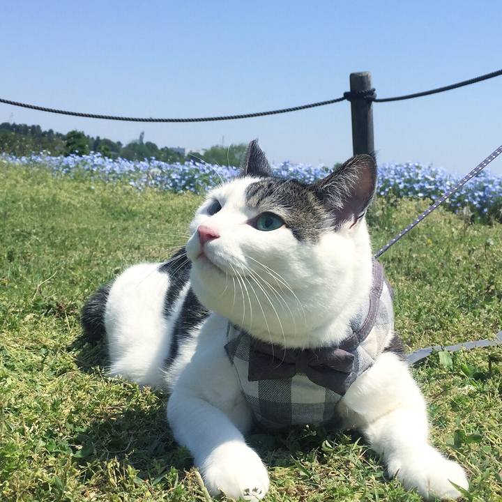 4d6a615c 3f48 47c9 aaf6 49ce5d019cb4 1524396027935