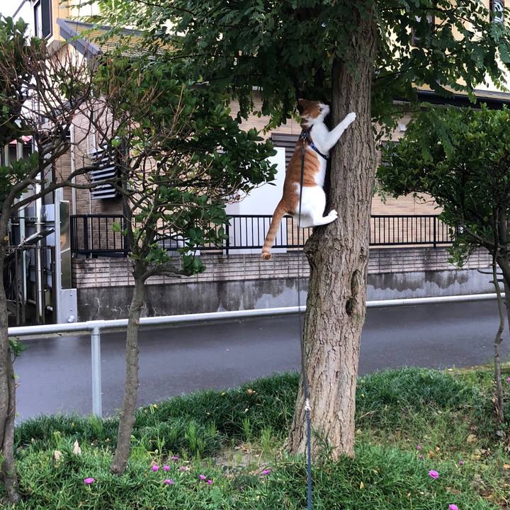 4d6a6636 cda5 493a 8f80 7c71130a4c35 1539238117485