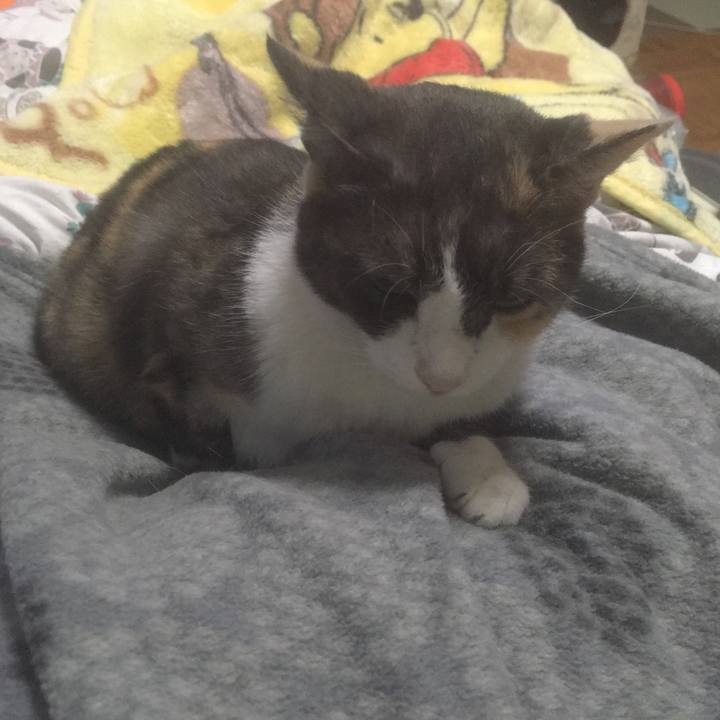 4d6a86da 76d7 48ae 950d 2c7628106fde 1539377477003