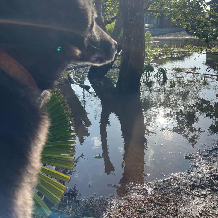 4d6a89af 9753 4971 993d ad2d362a0a25 1685778936718