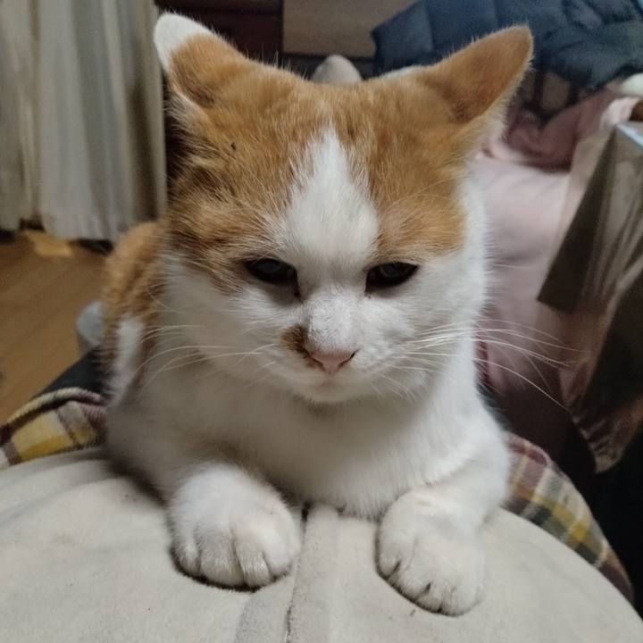 4d6a91ec 7c28 4c98 9a5e 657b362b9c47 1766997464456