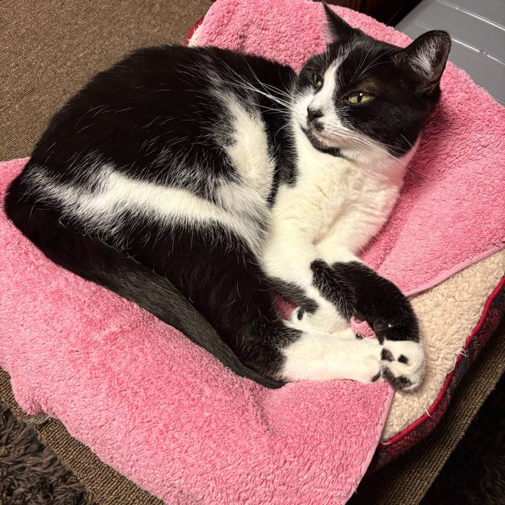 4d6aa793 2815 4b9a 8ca7 3c11de2c11cb 1761128122323