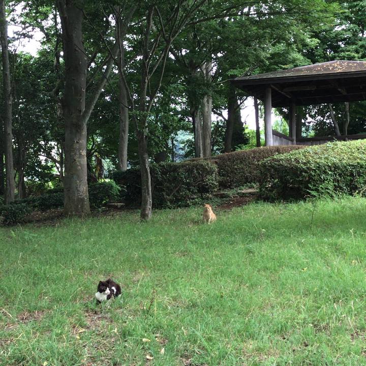 4d6ae724 edeb 4f31 bdf7 8036a9ca0aa2 1520842929014