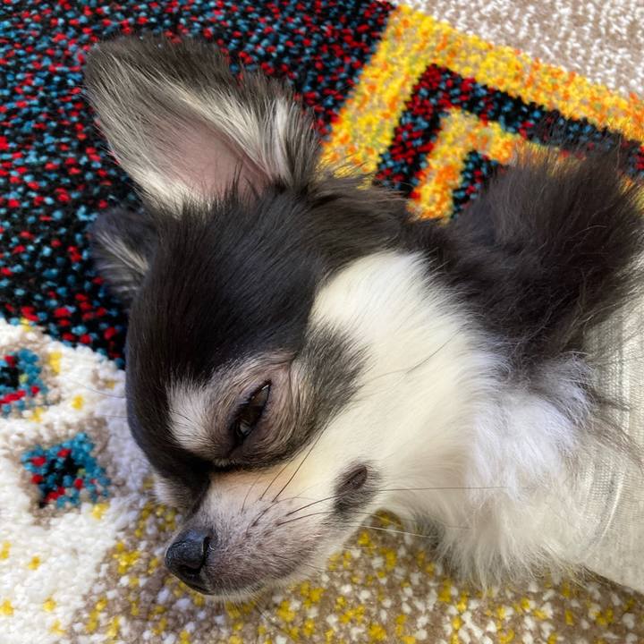 4d6af569 838e 45be 9ec5 25043d4289c7 1683214039458