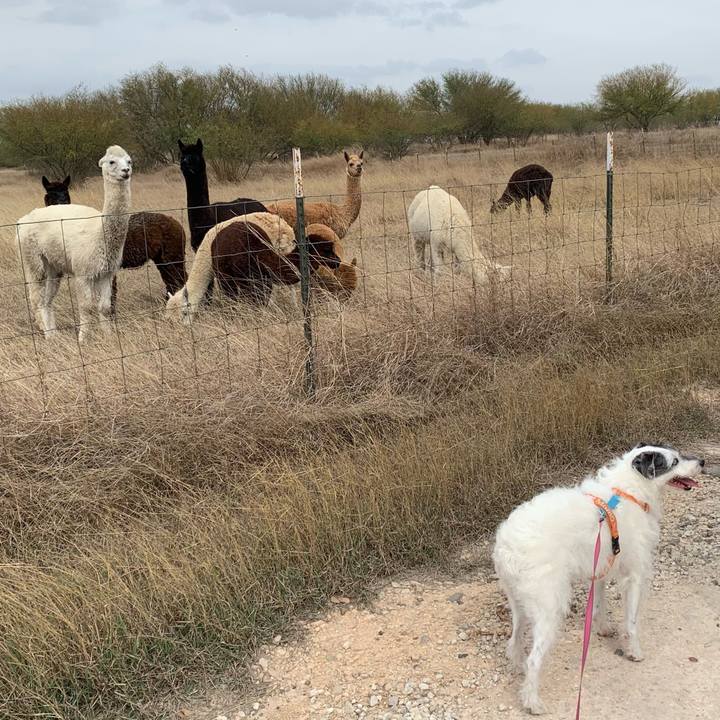 4d6b0c0a a798 441c 8e72 c0353c6103fa 1647901275820