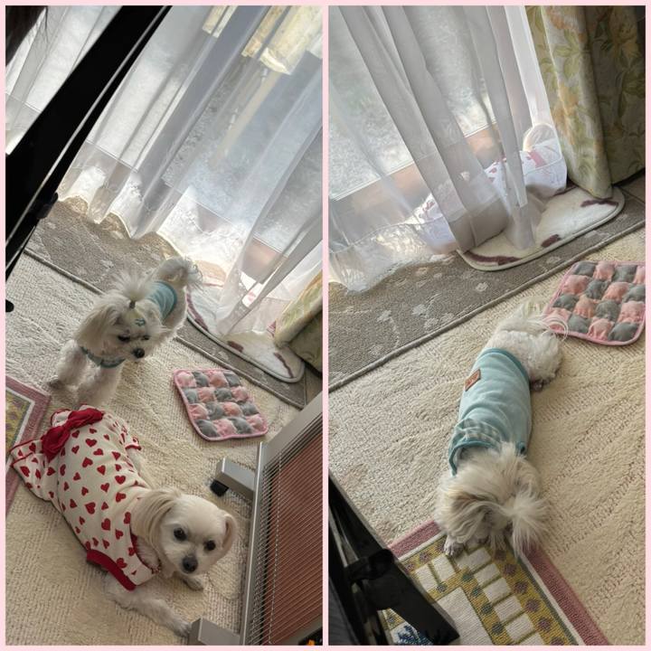 4d6b5651 ff6e 484b a969 2dc108b66910 1742714786196