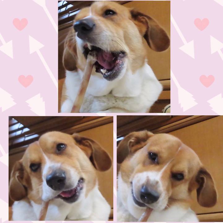 4d6bd2d6 012d 49af b6f9 4555bf6dac1e 1654309213383