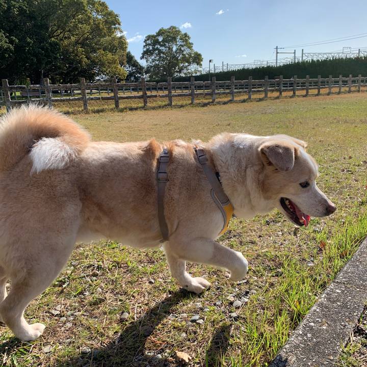 4d6bebeb d4a8 4b0a 92de 15227fbc5312 1584665463269