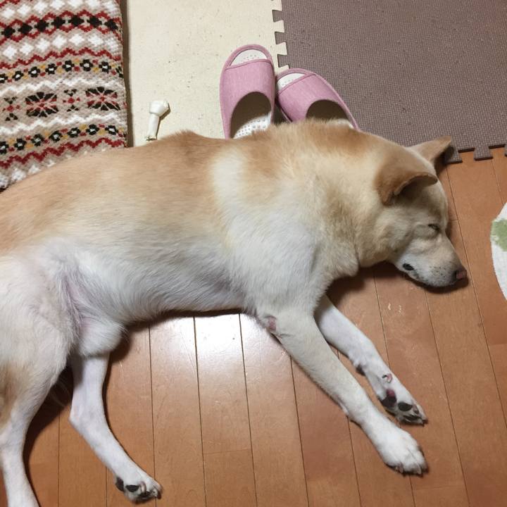 4d6c11a8 49e5 4db0 96e1 4d5d6c04d2f0 1509113321367