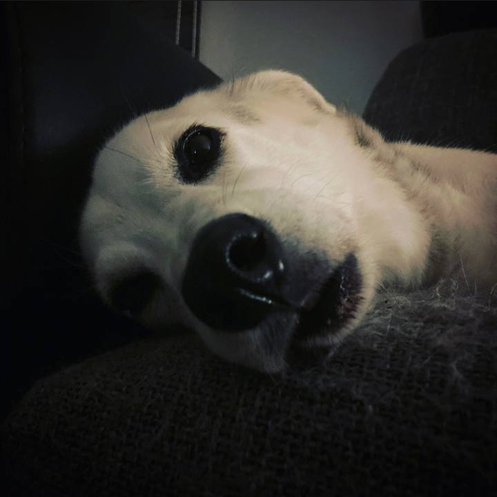 4d6c1da2 c6b6 4860 8234 84eac7c6b6e2 1691771067755