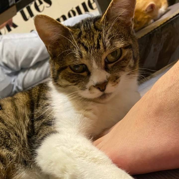 4d6c26e6 5da7 458e af07 1d14248d27ab 1621328804576