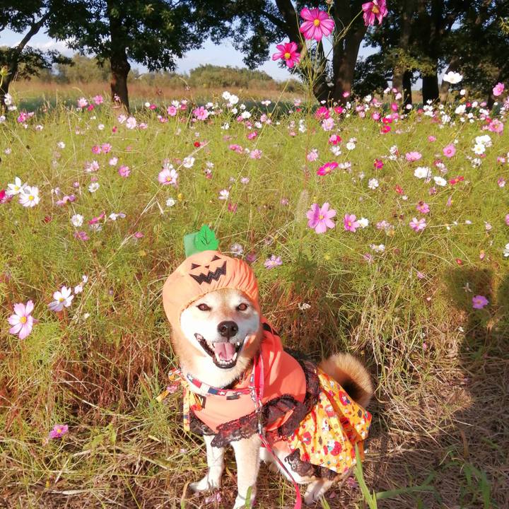 4d6c3b17 0592 499a b529 89c55a706bb8 1666177434405