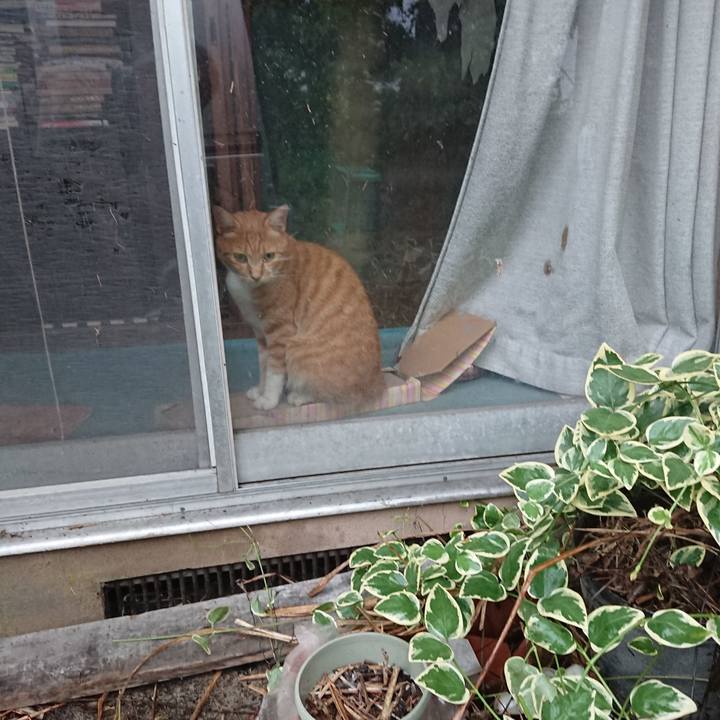 4d6c4783 214f 4c25 927b 47b9af4a4cd4 1595840100514