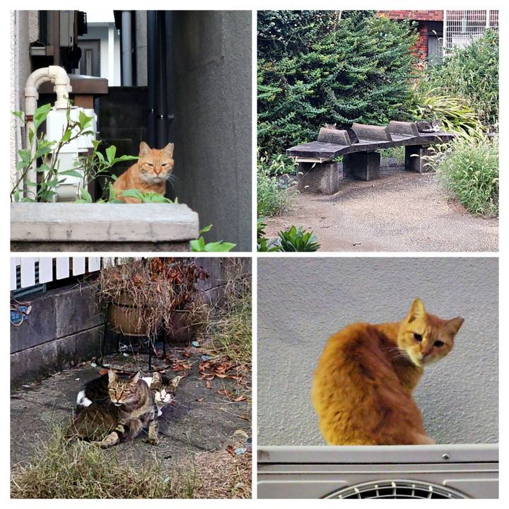 4d6c7c36 9863 49d4 af24 e4aabad1bfb2 1728879056788