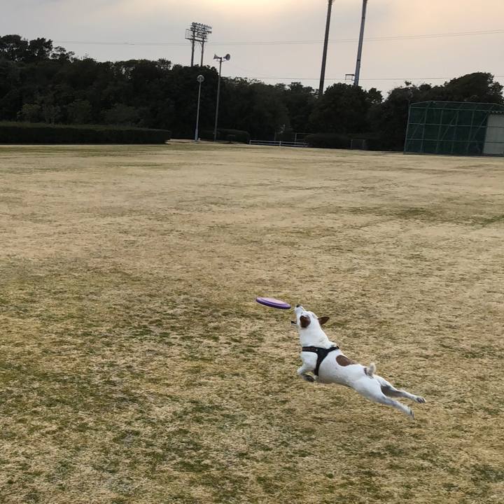 4d6c9519 9213 4109 b781 03dfae97f288 1519564189890