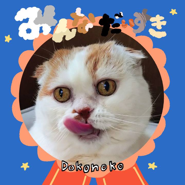 4d6c98b3 63a0 47b7 bbd7 059cc632e4e5 1780986538336
