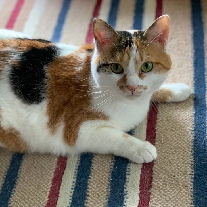 4d6cee0e 70f1 4b95 80db b6648b17f68f 1652619907371