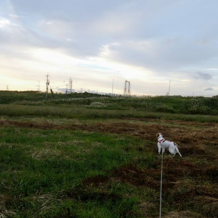 4d6d0656 3f2f 474e ae2b 7c875a60e7ac 1539344284329