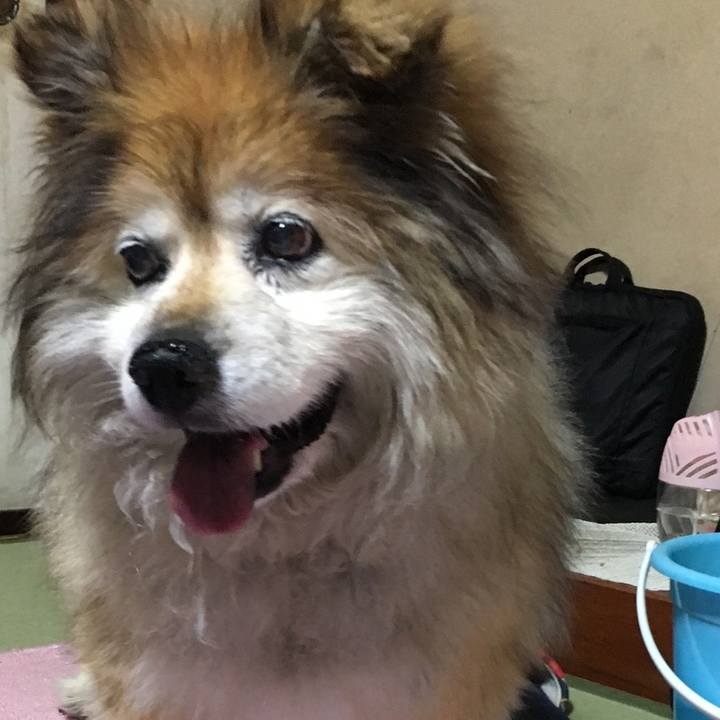 4d6d1af7 ee4e 46c4 8e8b 7f8ddb9f8a87 1593364487941